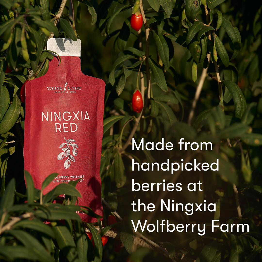2025_-Rebranded_NingXiaRedSachets_LaunchKit_PDP_SocialImpact_1080x1080.jpg