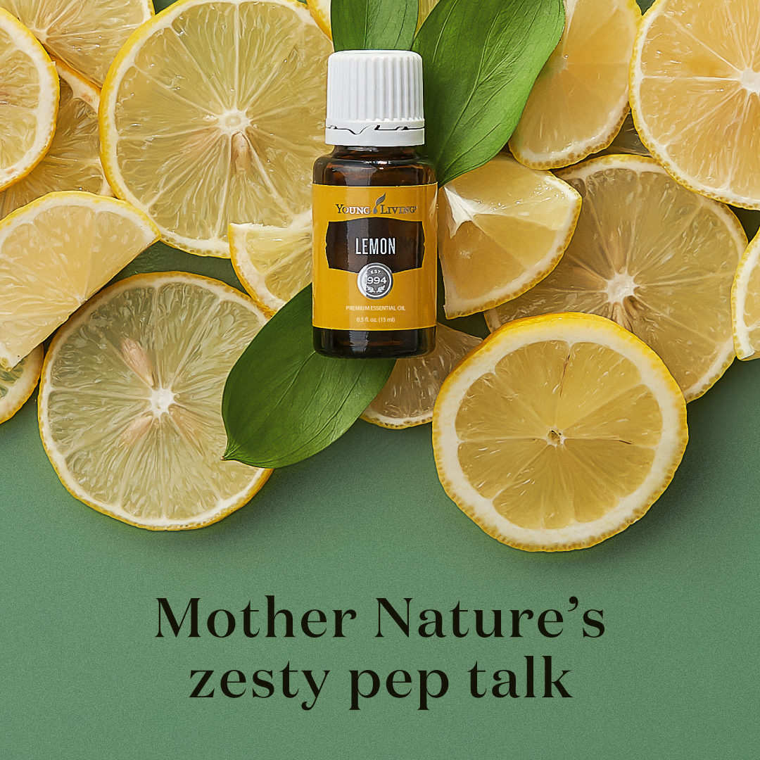 3578_Lemon_PDP_0925_1b.jpg