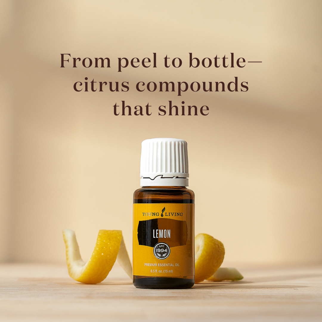 3578_Lemon_PDP_0925_3.jpg