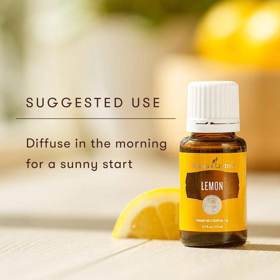 3578_Lemon_PDP_0925_4.jpg