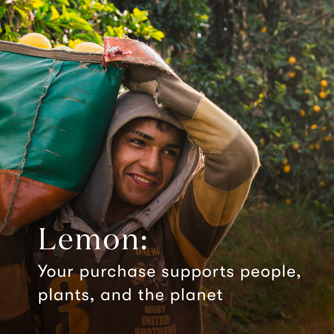 3578_Lemon_PDP_0925_5.jpg