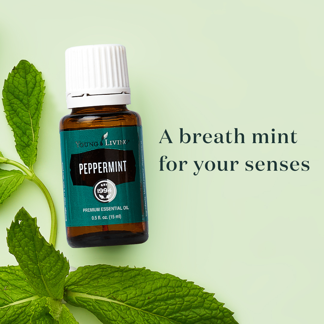 3614_Peppermint_PDP_0925_1b.jpg