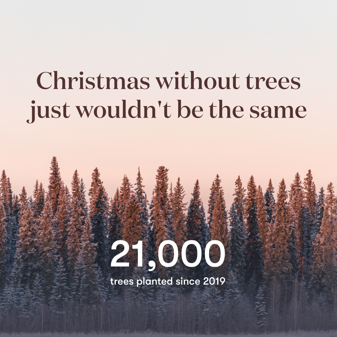 ChristmasSpirit_PDP_6.jpg