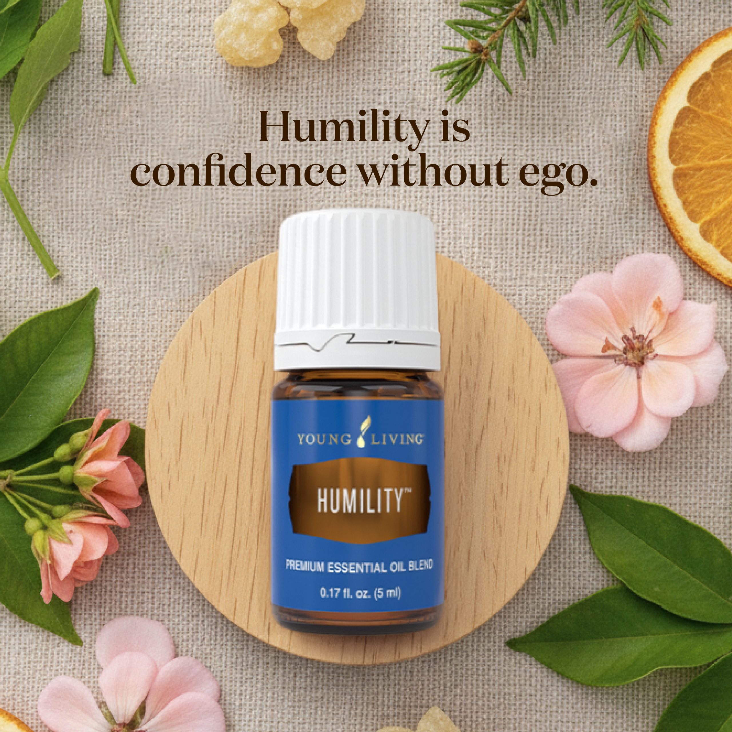 Humility_1_Square_EN__1_.jpg
