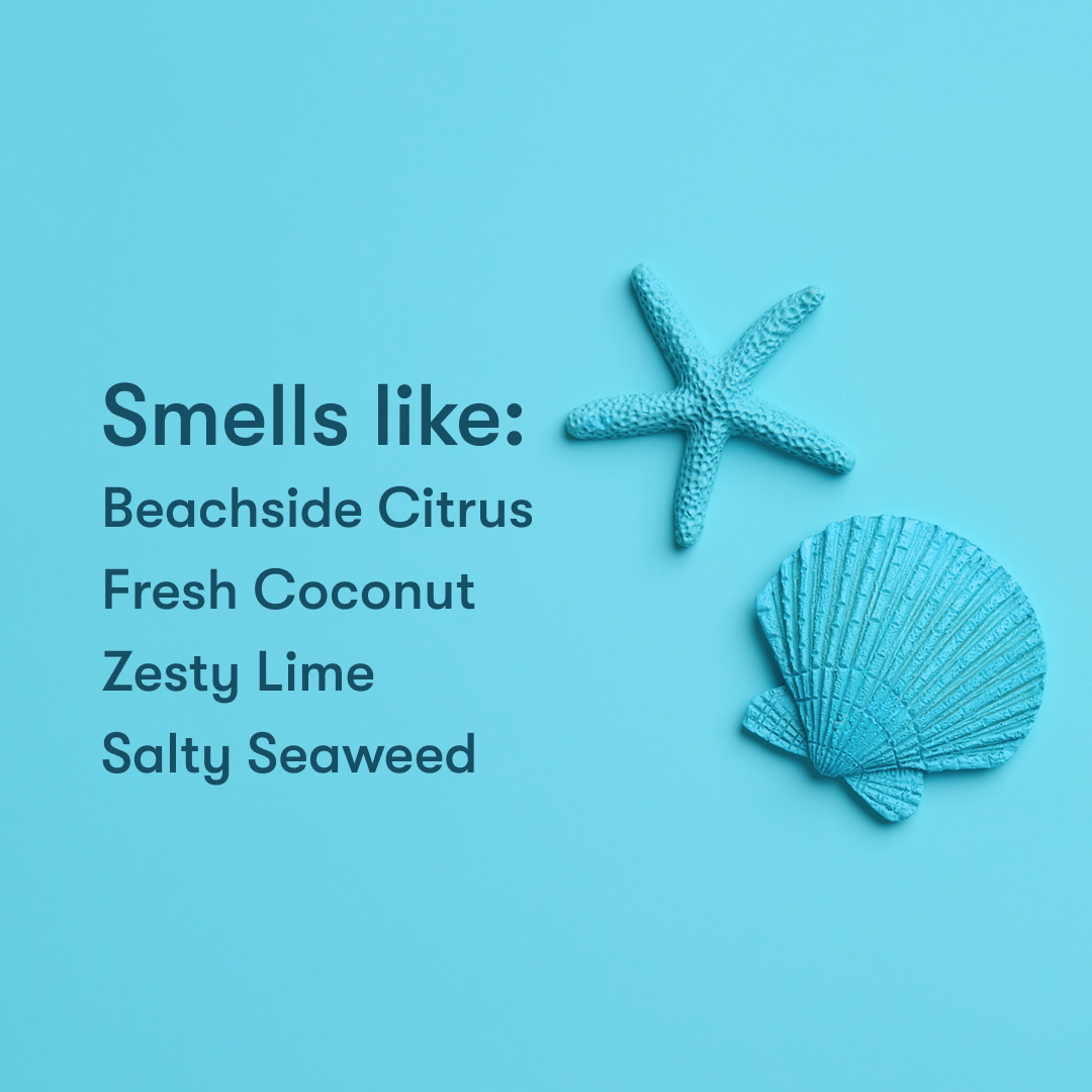 Seaside-Scent-Profile.jpg
