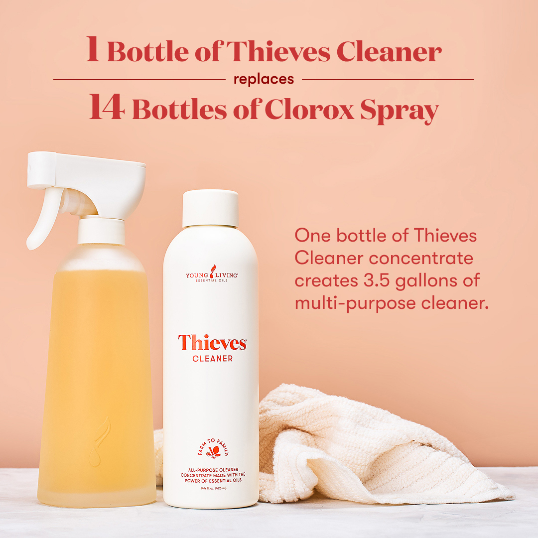 Thieves_Cleaner-Image1a.jpeg
