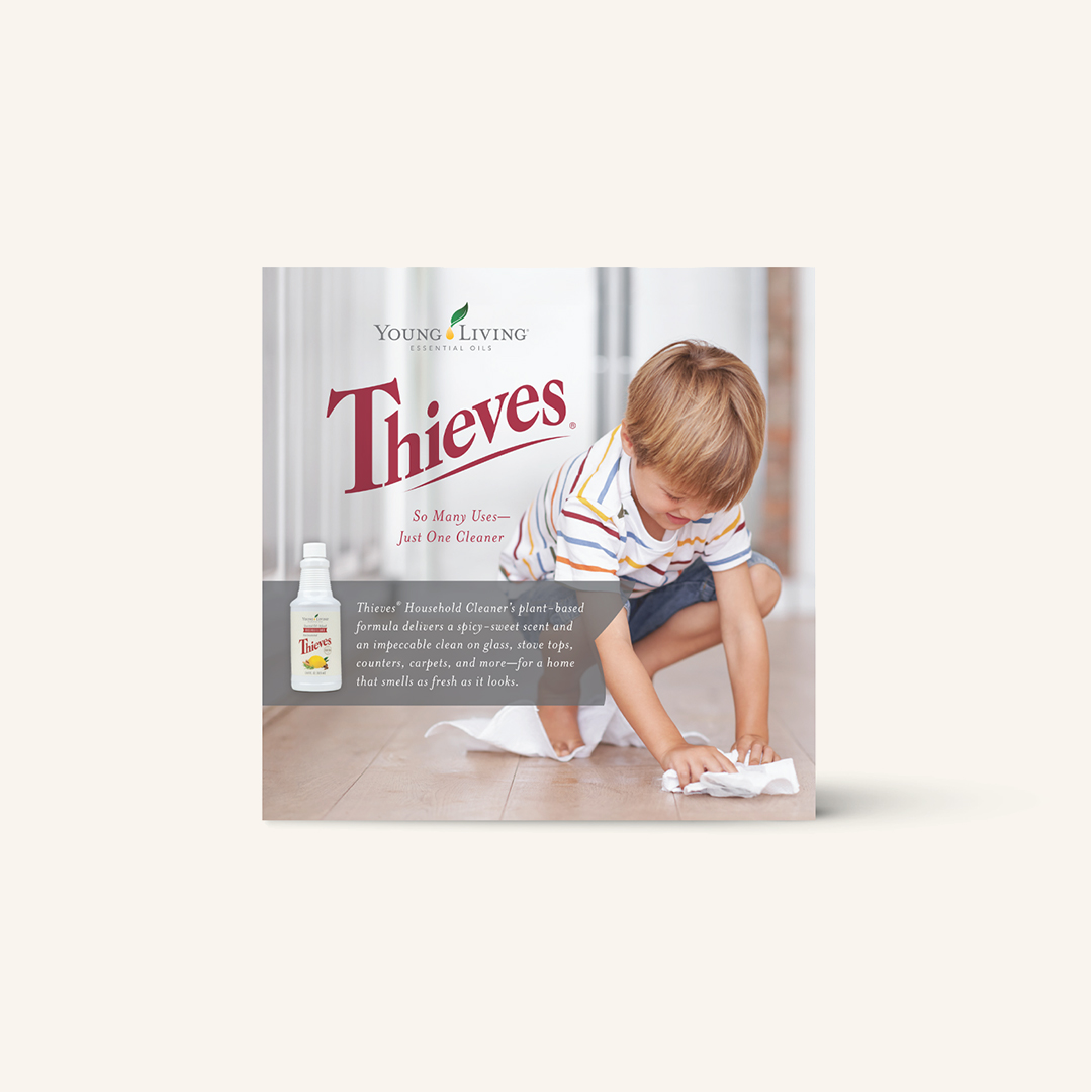 Thieves_Cleaner_Booklet_19072_JPEG.jpg