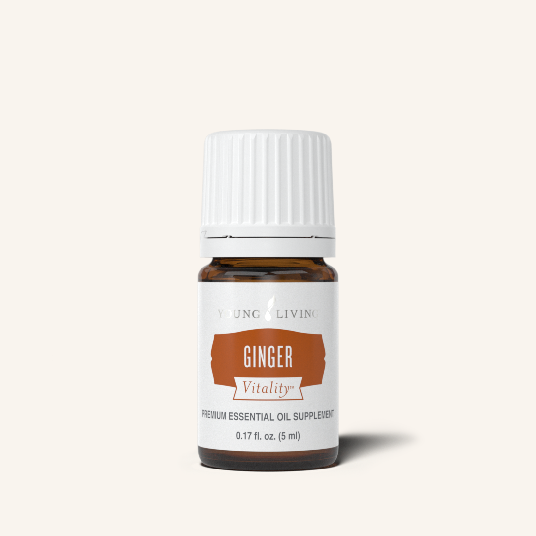 gingerv.png